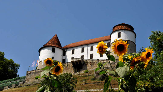 The Struga Castle